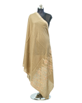 PASHMINA SHAWL BORDER DESIGN