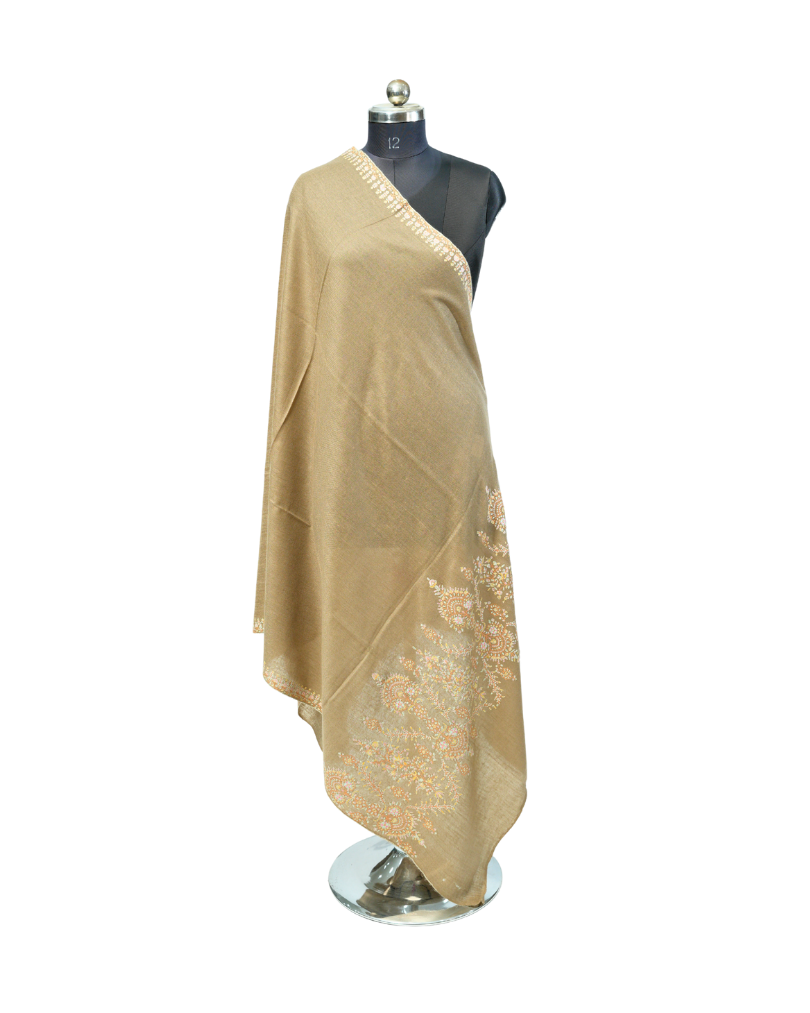PASHMINA SHAWL BORDER DESIGN
