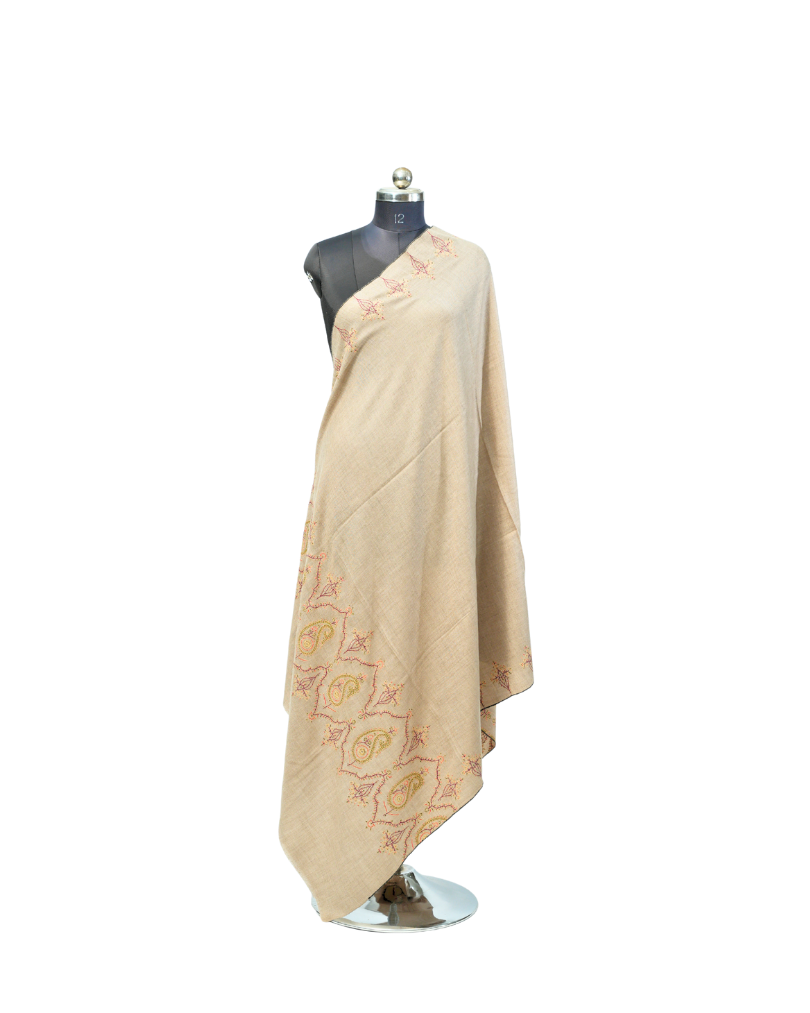 PASHMINA SHAWL BORDER DESIGN