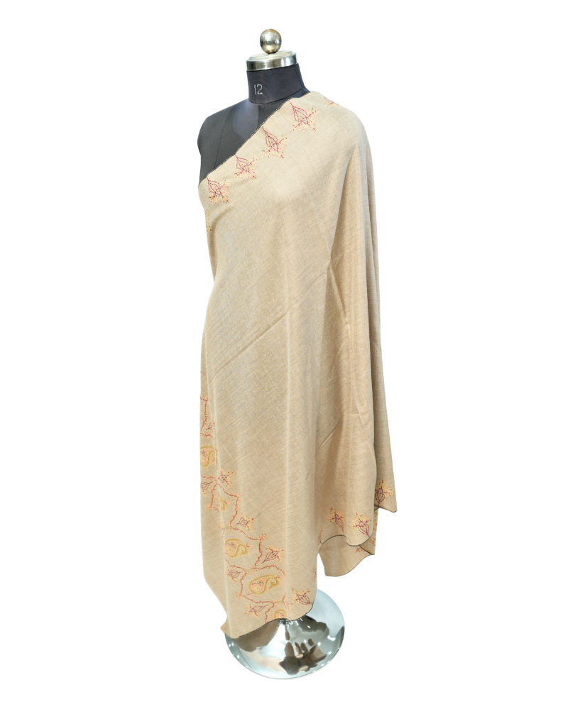 PASHMINA SHAWL BORDER DESIGN