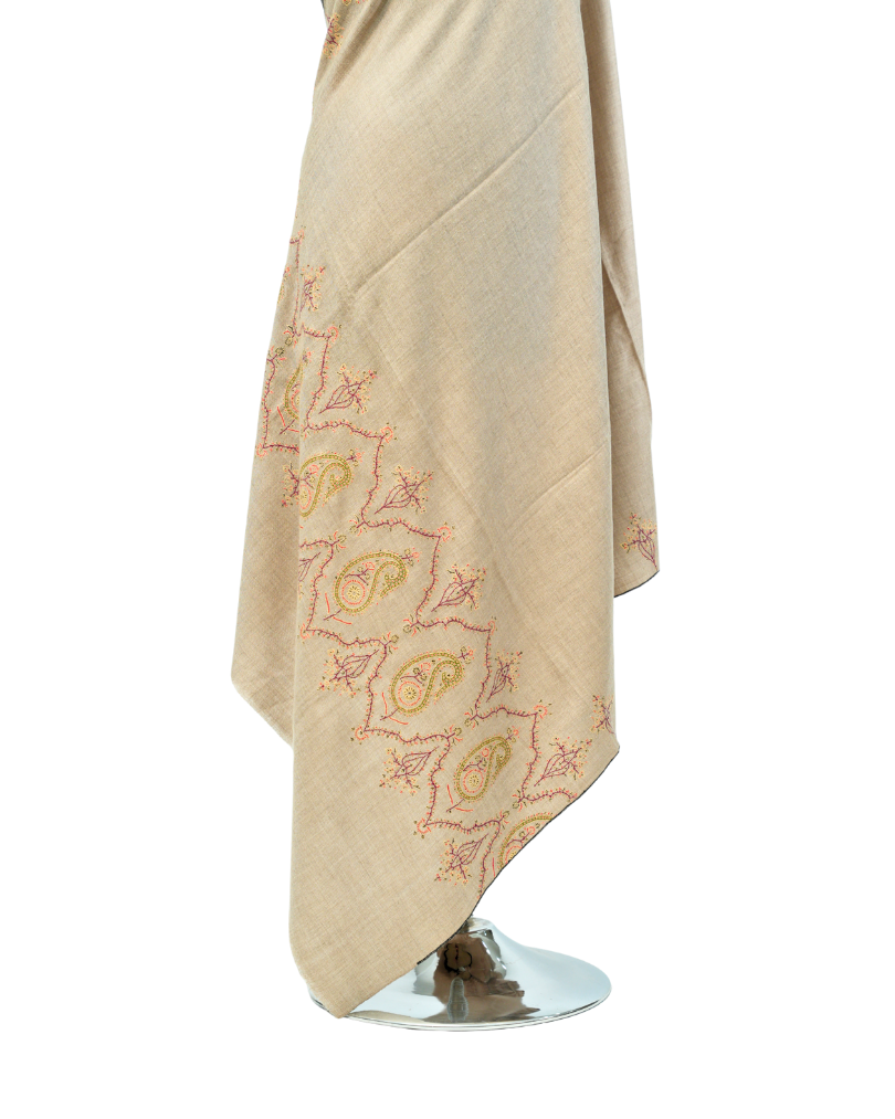 PASHMINA SHAWL BORDER DESIGN