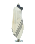 PASHMINA BORDER DESIGN